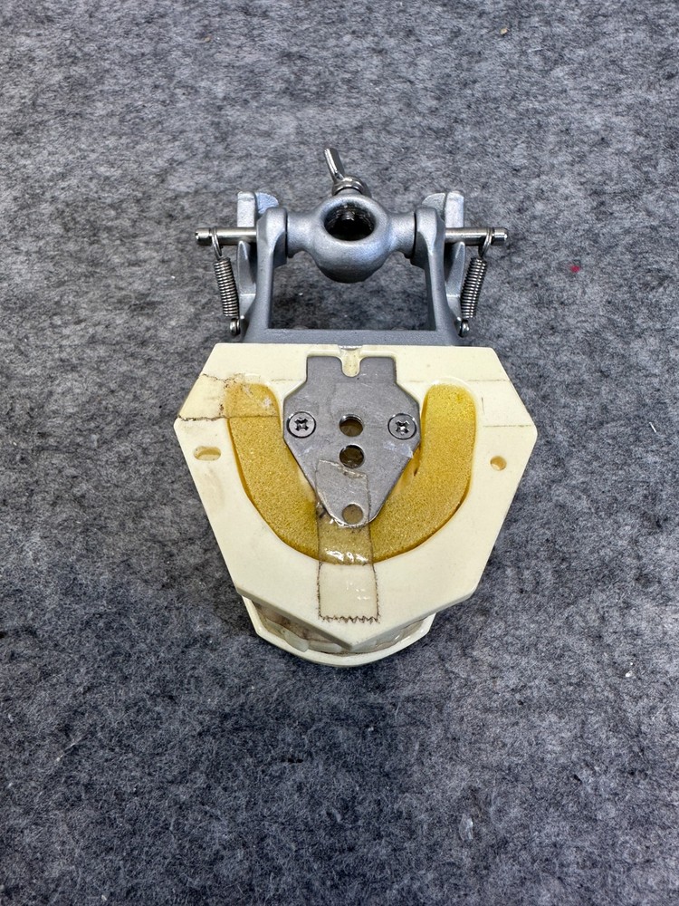 Perio Trainer Dental Model with Hinge Clear Composite gums