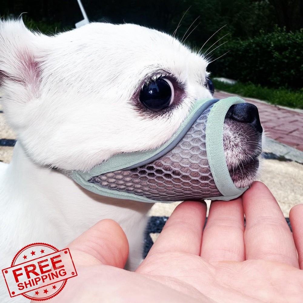 Dog Muzzle Small Medium Short Snout Biting Prevention Mint Blue S