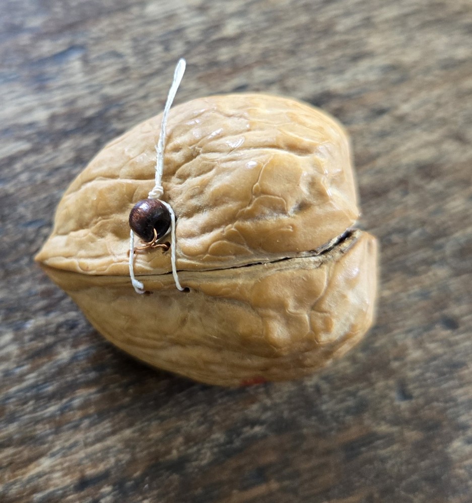 Tiny Laser Cut Ship In Bottle * In A Real Walnut Shell * Folk Art Whimsy  MINT! 