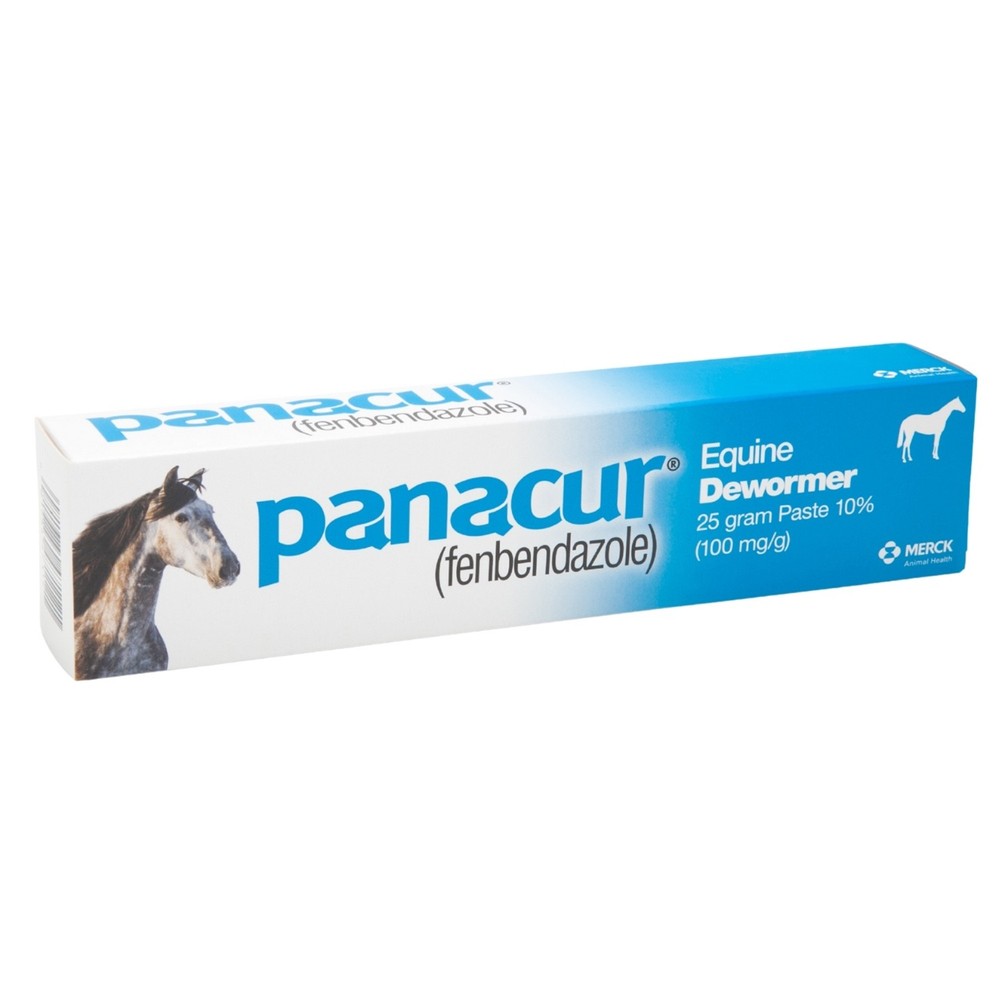 Panacur Equine Dewormer, 25 gram Paste 10%
