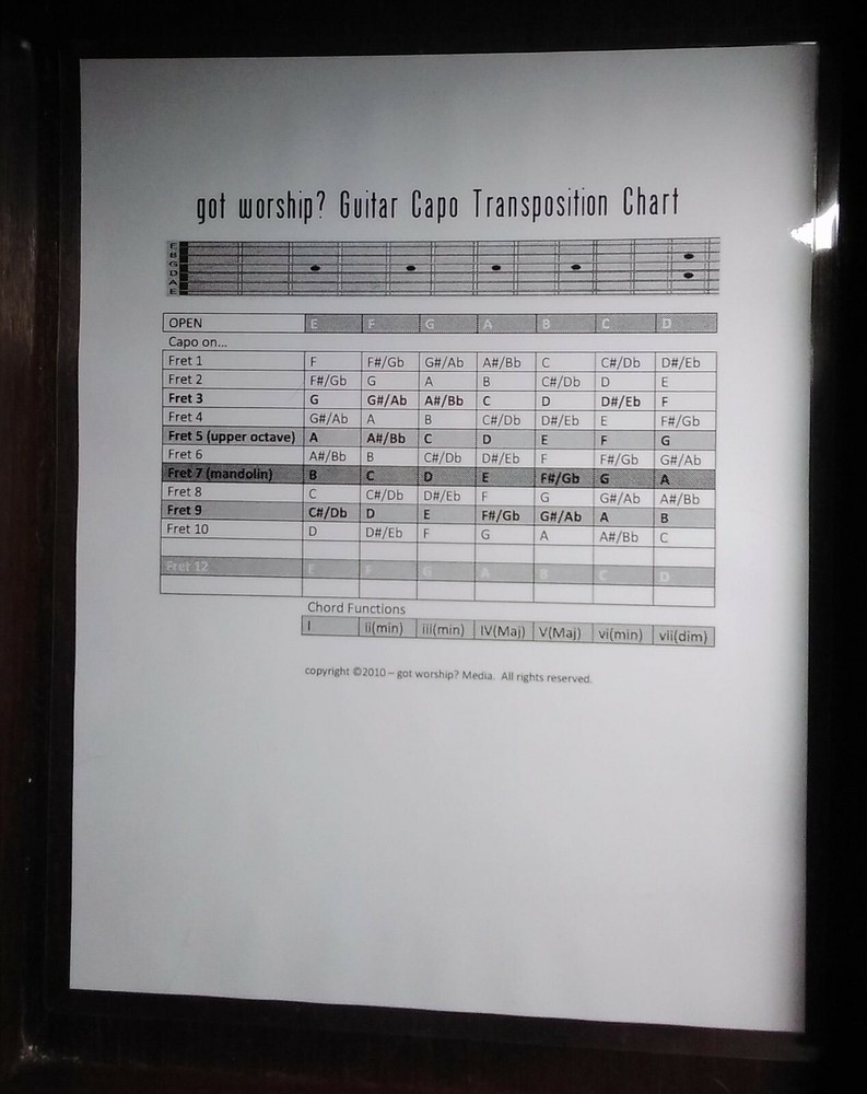 Guitar Capo Transposition  Chart ~ Laminated ~ FREE Shipping ~