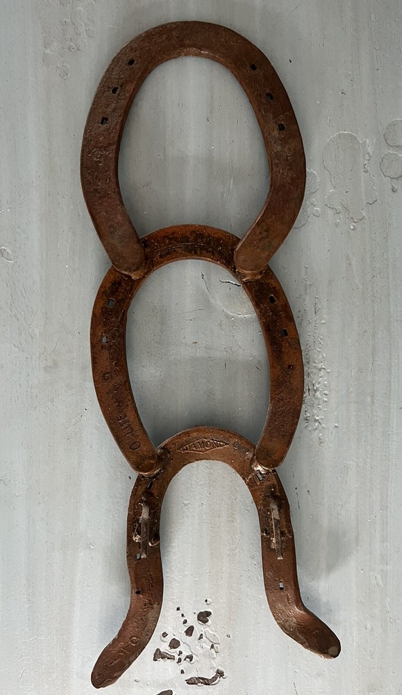 Rustic 3 Horseshoe Wall Decoration. Diamond O-lite