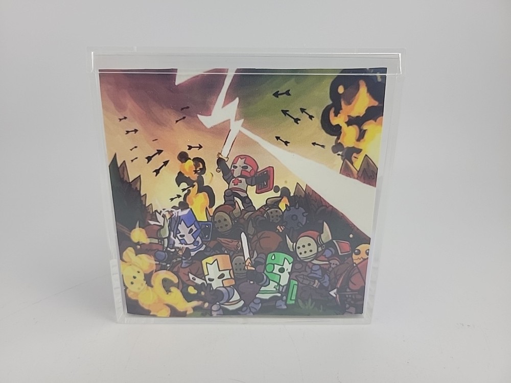 Castle Crashers 3D Cube Handmade Diorama Video Game Shadowbox