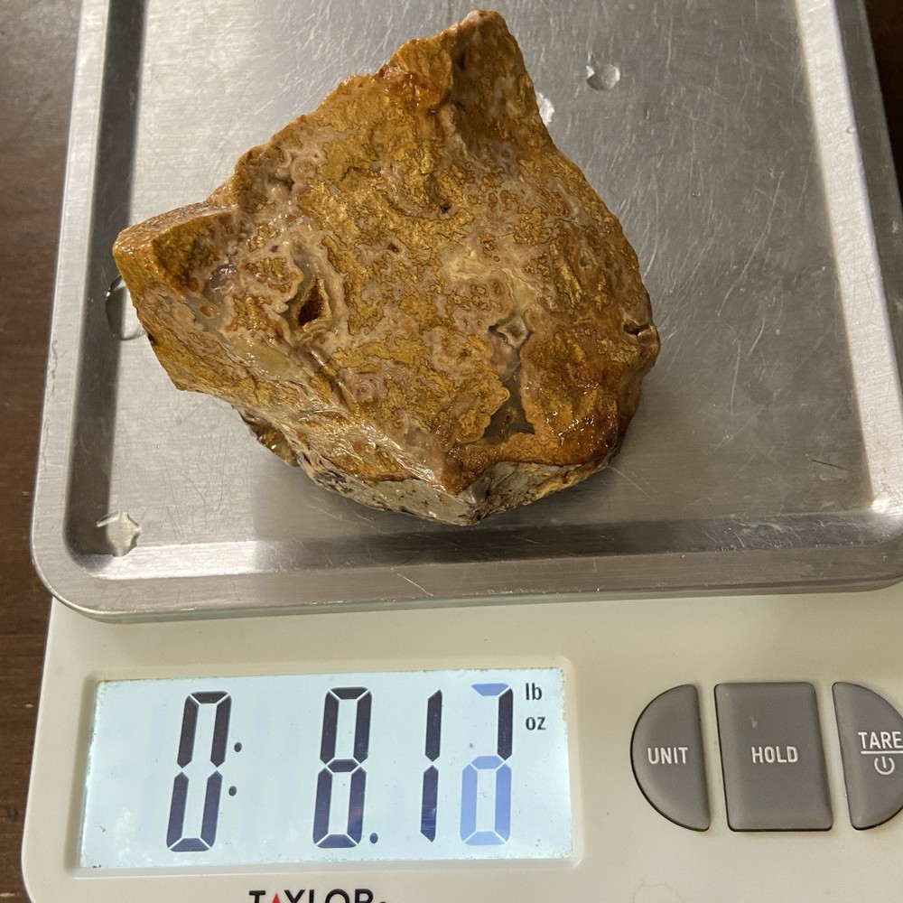 Calico Agate Crazy Lace Agate Variation Rough Stone 8.10 Oz
