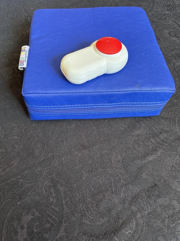 Child’s Therapy Pillow