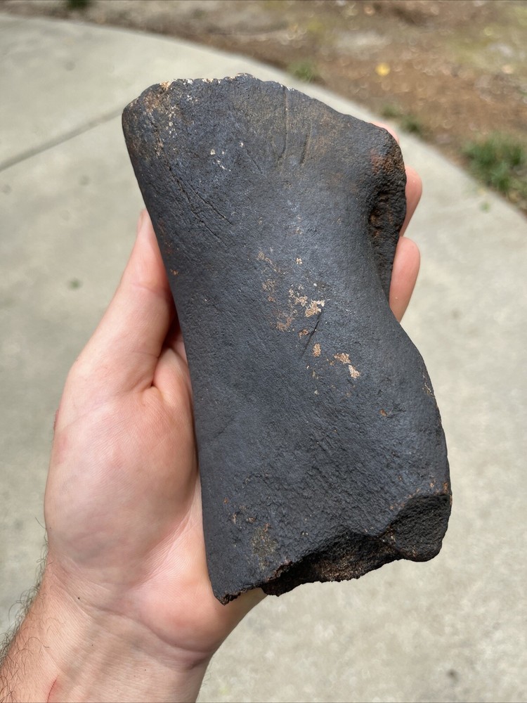 Fossilized Extinct Baleen Whale Rib Bone Fossil Segment- Not Modern (EB-13)