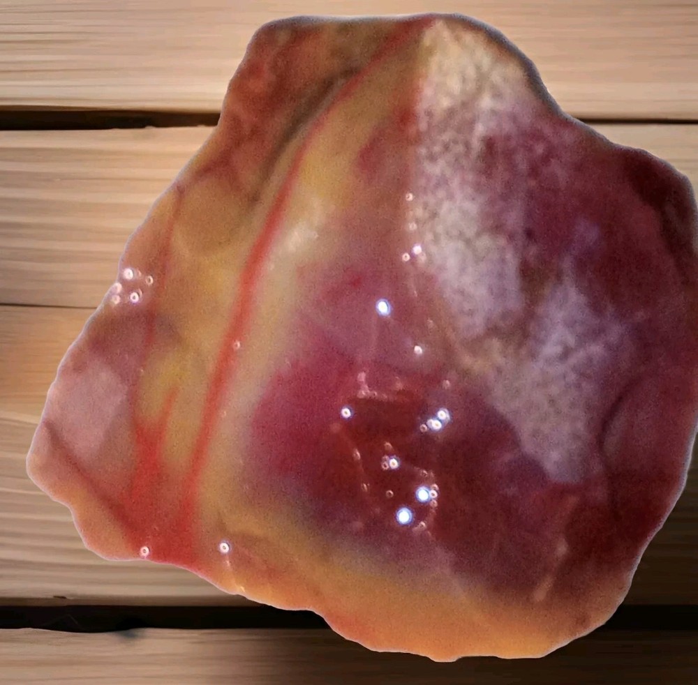 Rainbow Petrified Wood Small Rough Specimen 56g
