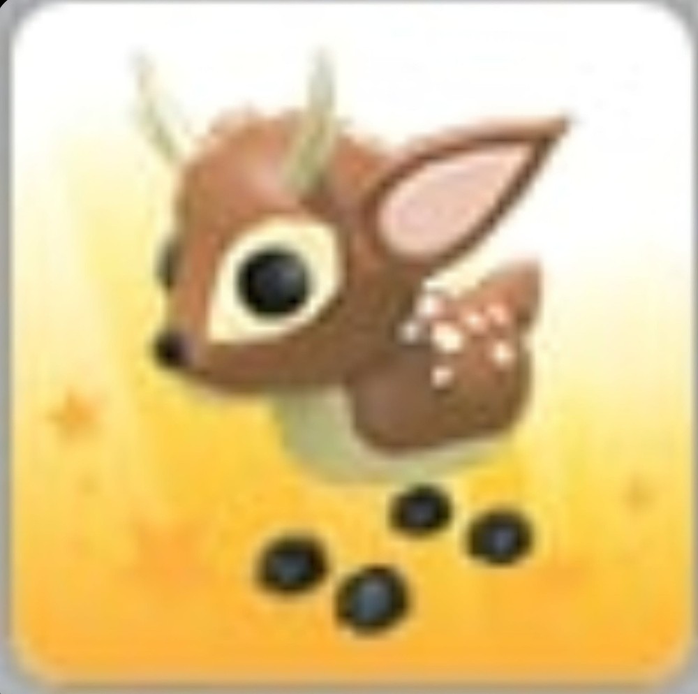 Fallow Deer | Adopt Now