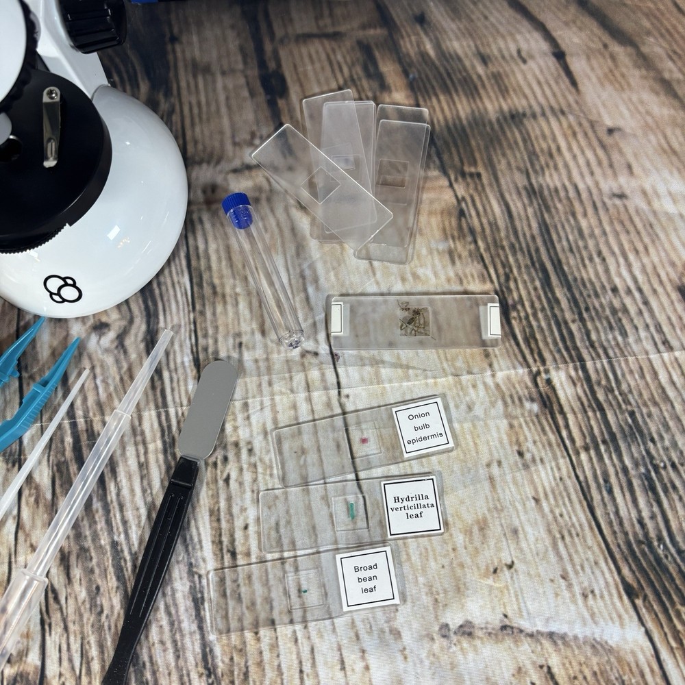 The Thames & Kosmos Microscope Essential STEM Tool with Smartphone Adapter Bugs