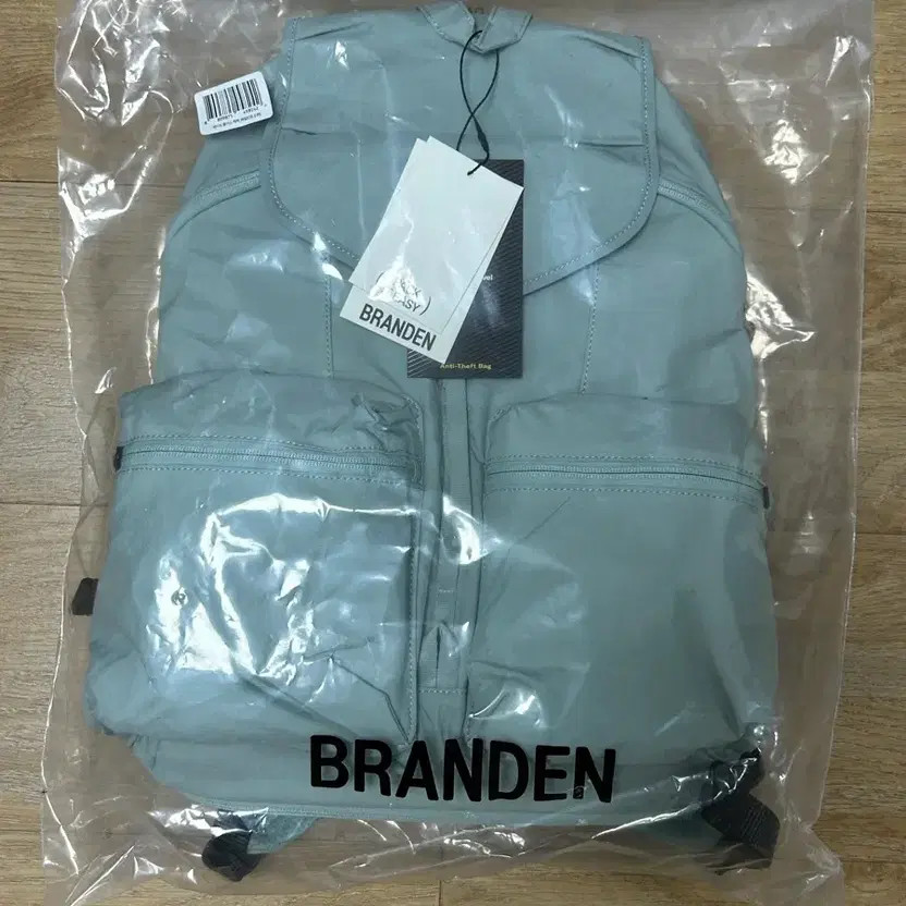 Brandon Safe Plus Backpack New in Pail Mint Official