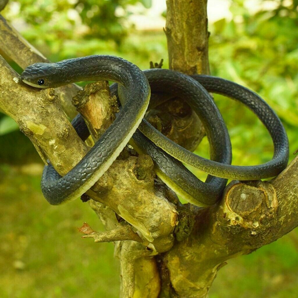 Fake Realistic Snake Lifelike Real Scary Rubber Toy Prank Party Joke For Garden
