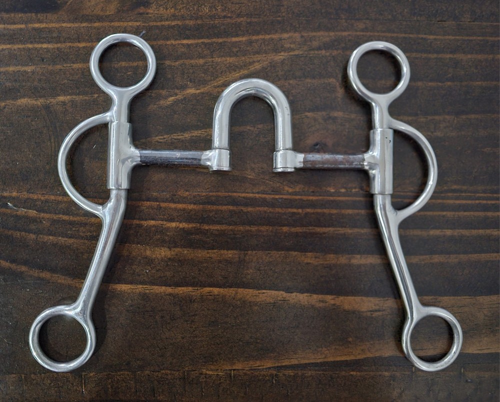 Stamped Circle G Correction Horse Bit