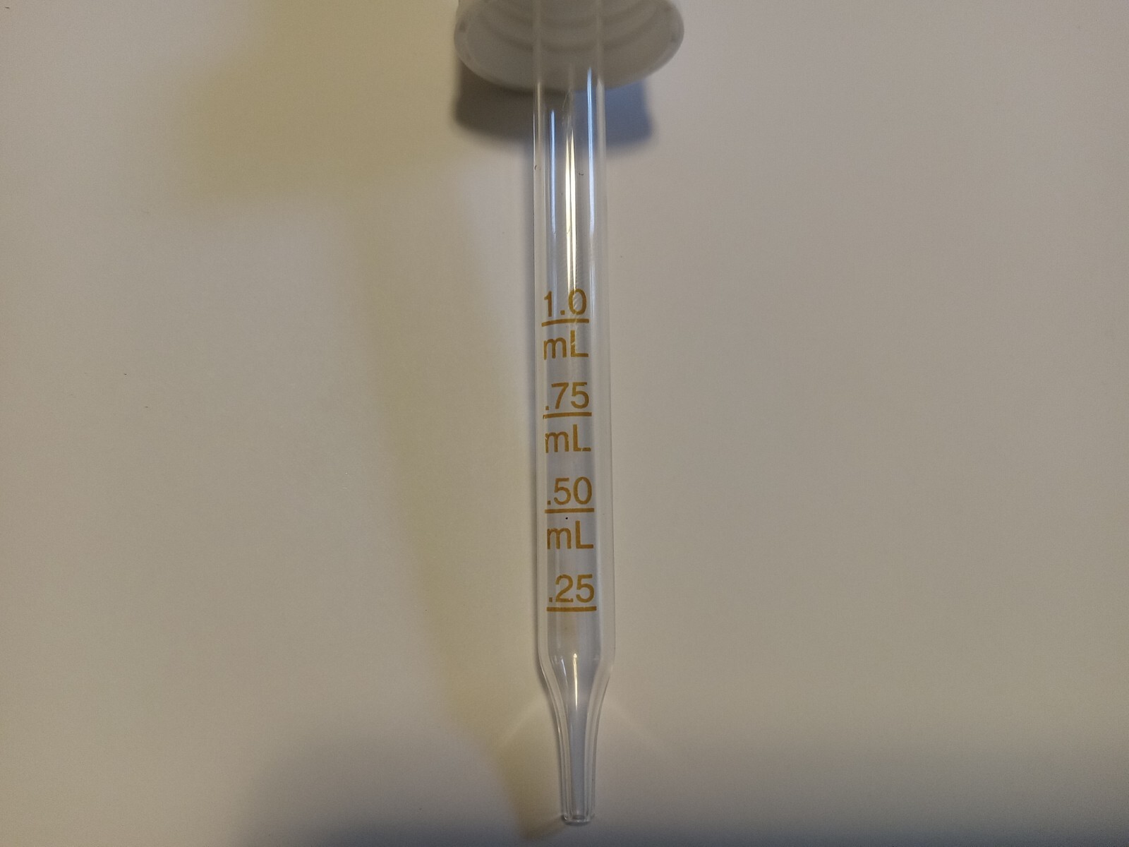 Village Ghost Pipe Tincture steeped for over 1 yr in 2oz bottle IBS Pain relief