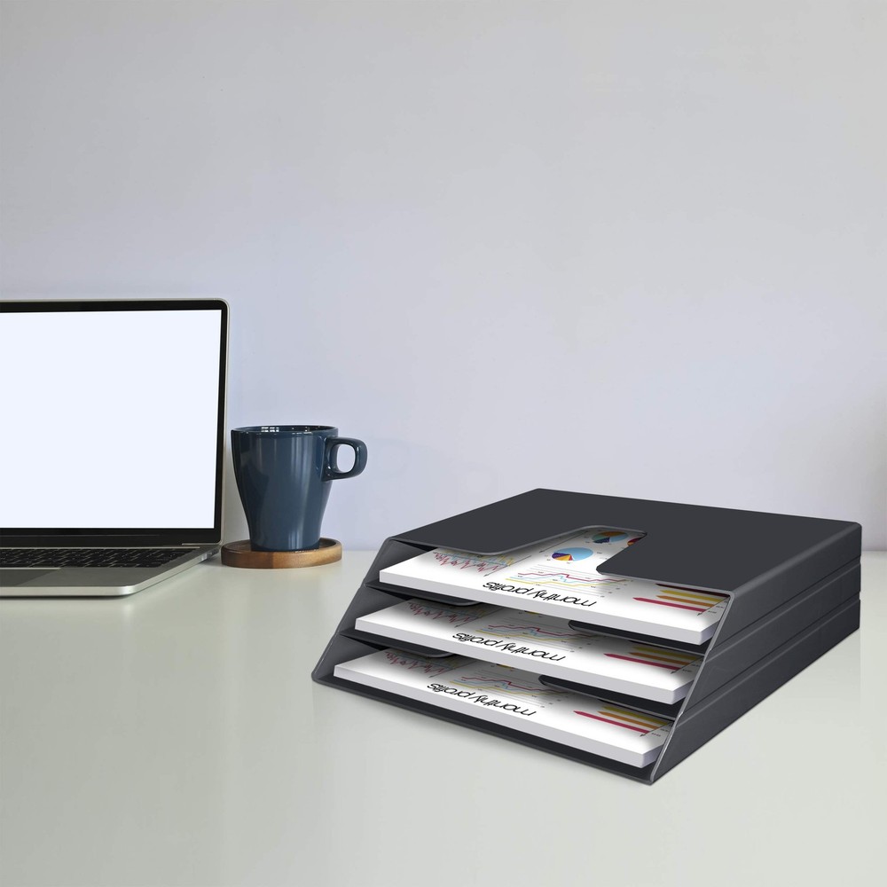 Horizontal Triple File Folder Holder Organizer black Color