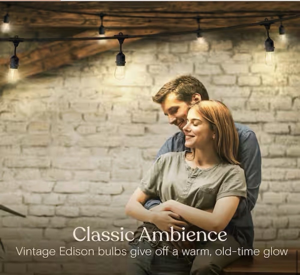 BRIGHTECH Ambience Pro Outdoor 48 ft. LED Edison Bulb Hanging String Light
