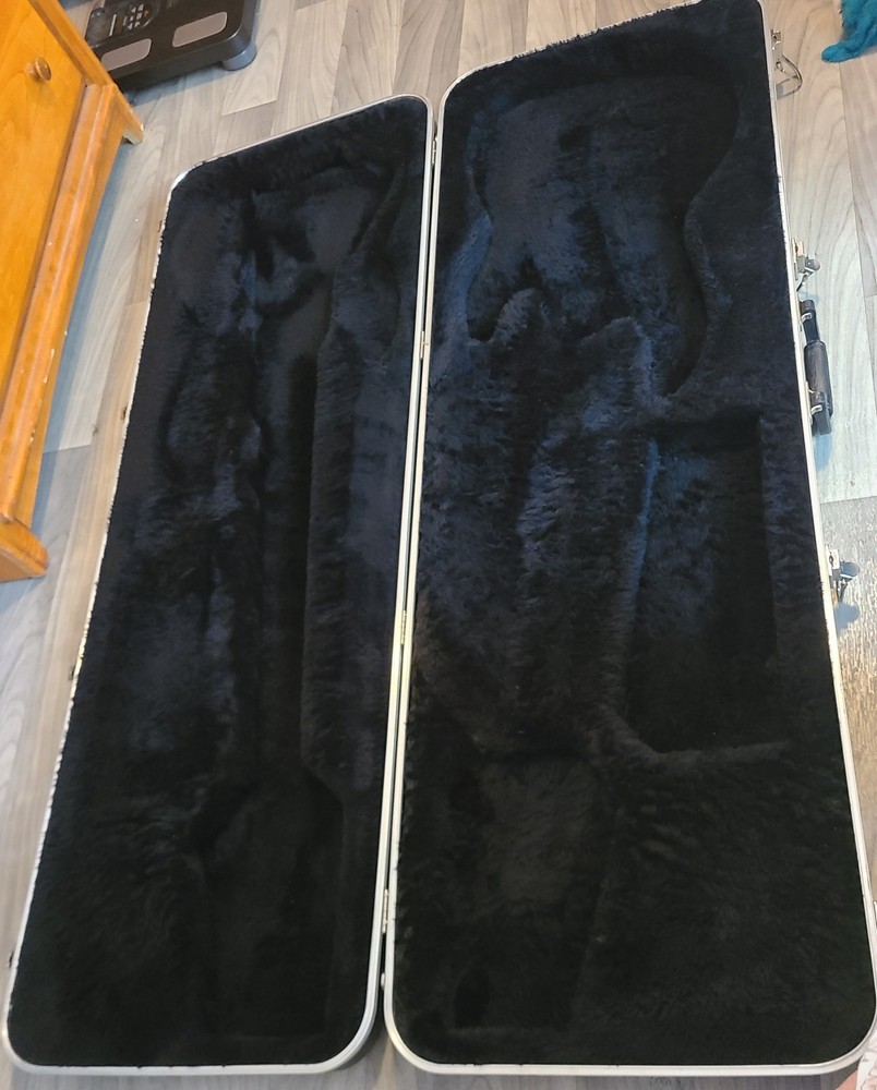 bass guitar case