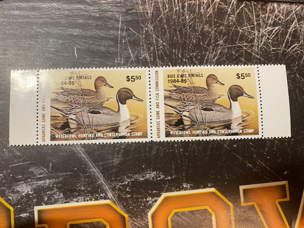 1984 Arkansas State Duck Stamp, Pair
