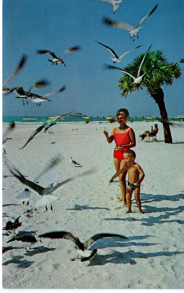 "THIS" IS FOR THE BIRDS! - (BREAD)  - PC5235