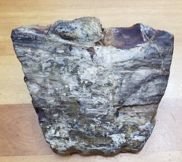 PETRIFIED WOOD 1.10 LBS
