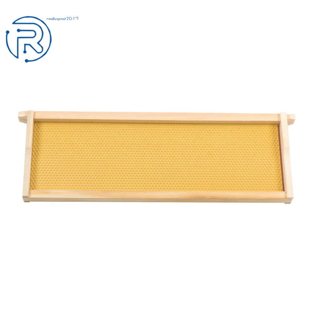 Beeswax Coated 4 Layer 10 Frame Bee Hive Includes Beehive Frames and Foundations