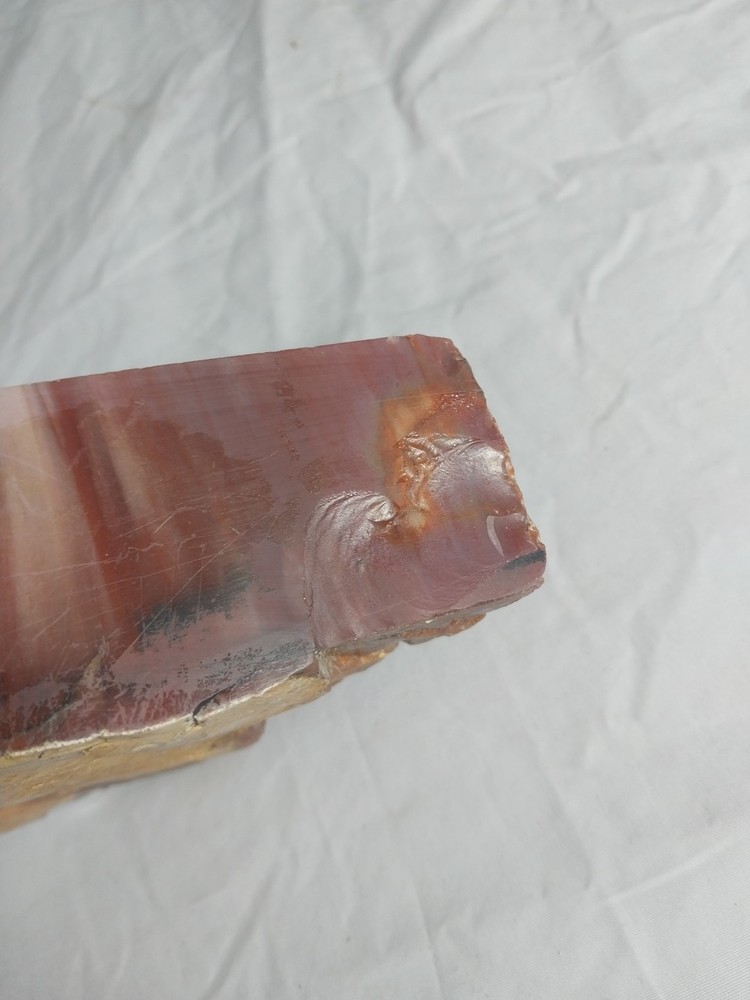 Fossilized Wood Chunk, Petrified Wood
