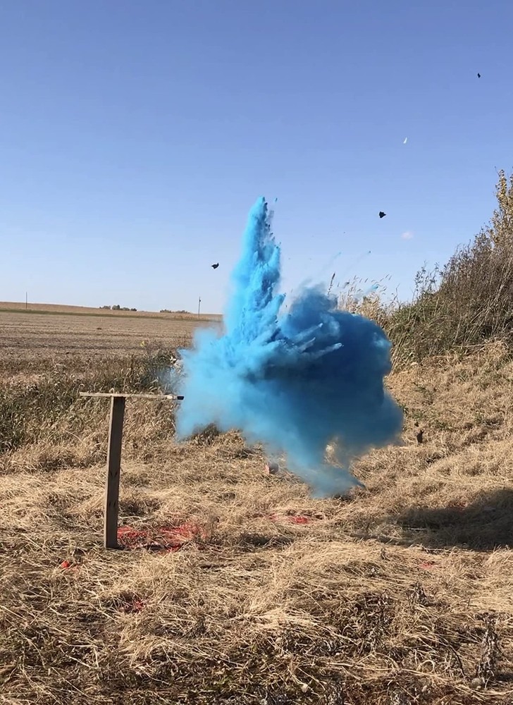 BlastCloud Gender Reveal Targets