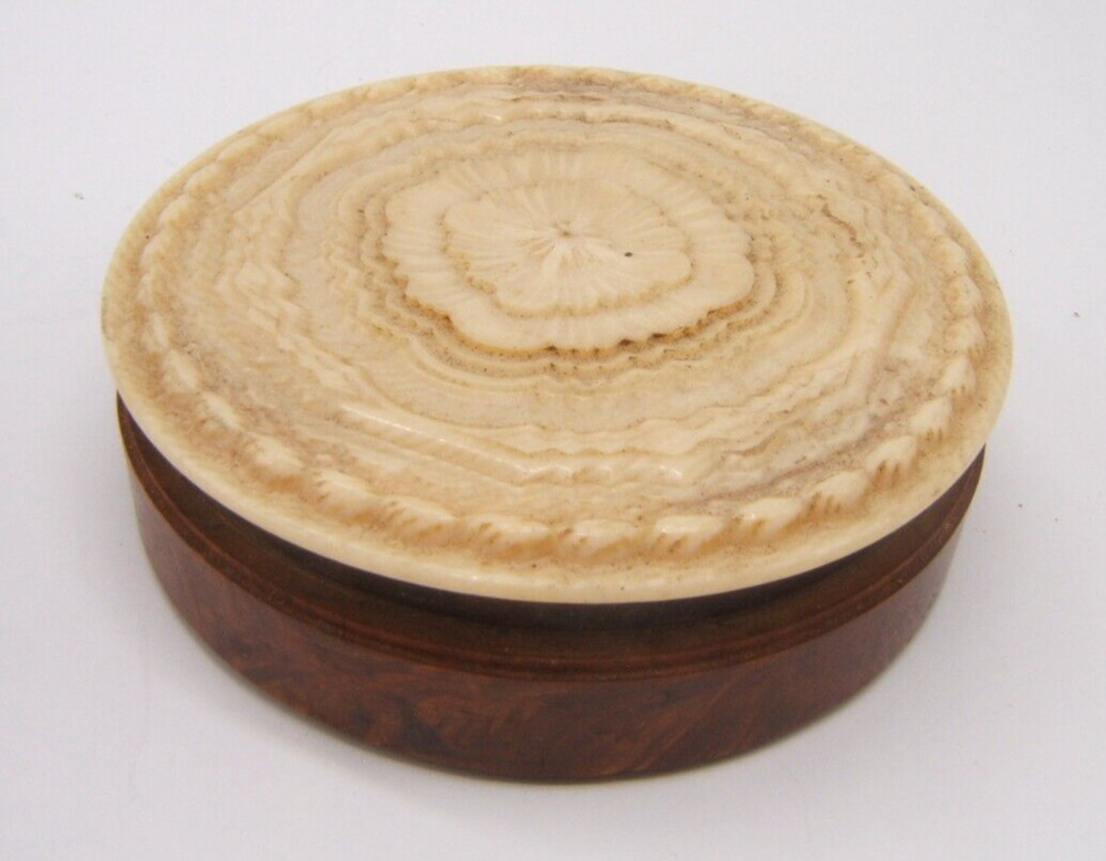 CARVED SNUFF BOX FLORAL SHELL LINED BURLED WOOD