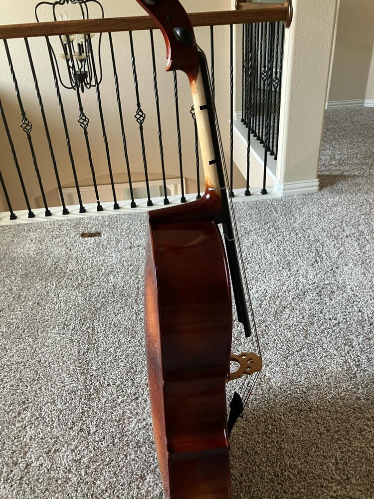 Gunter Maibach 3/4 Cello Outfit