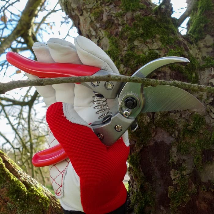 Ars Pruning Shears VS8 VS-8Z Pruning shears