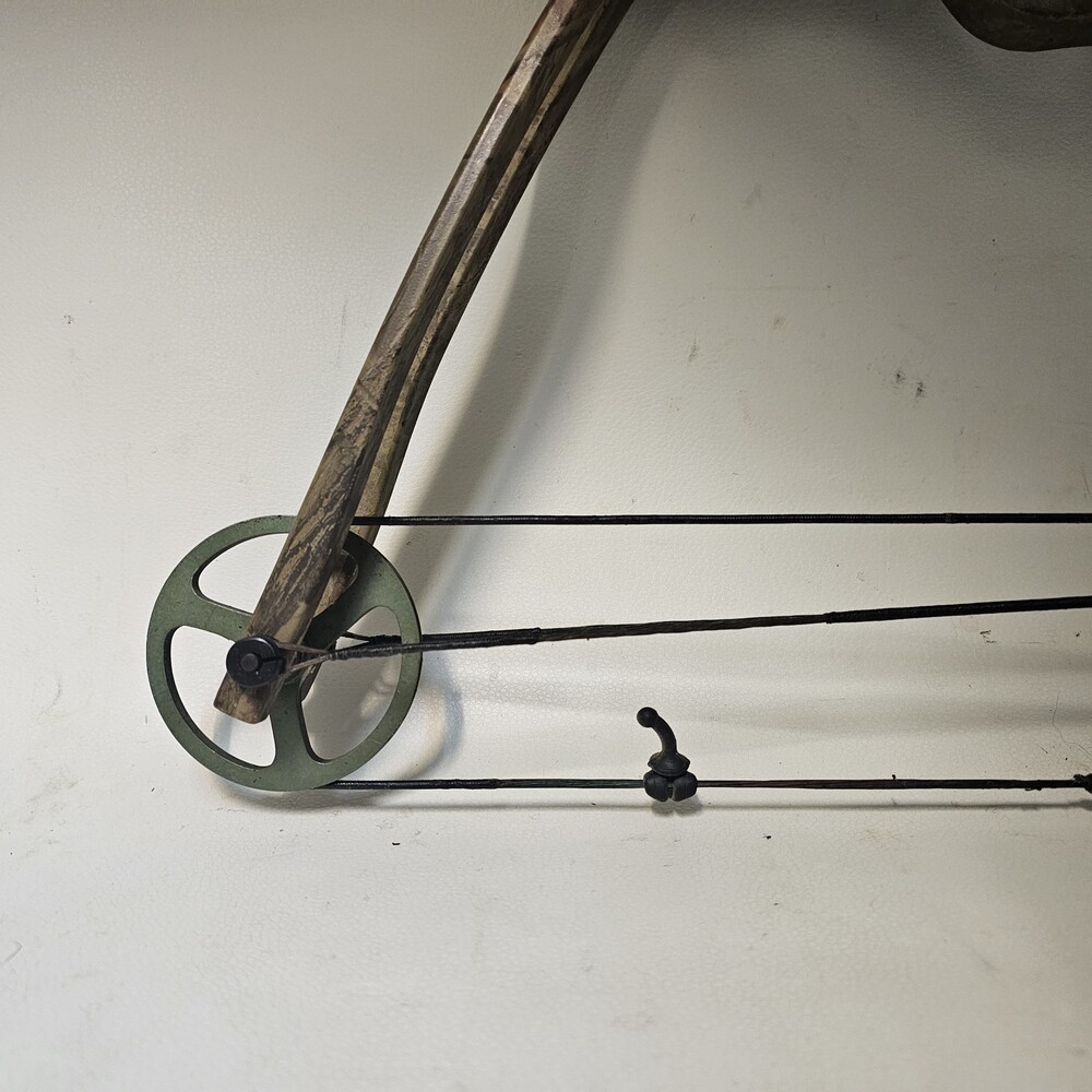 BEAR ELEMENT COMPOUND BOW