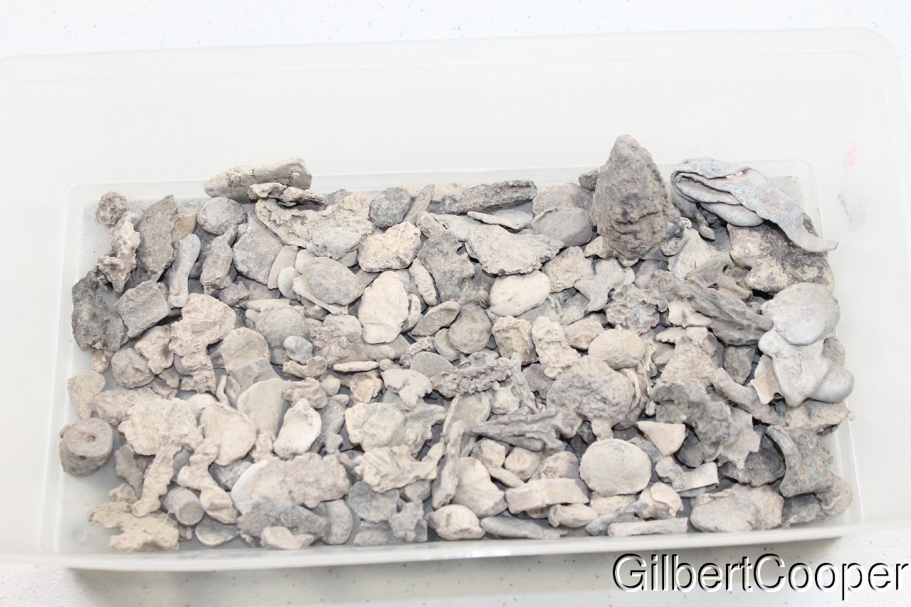 ONEIDA INDIAN LEAD SCRAP - SELLING 1 PIECE AT A TIME