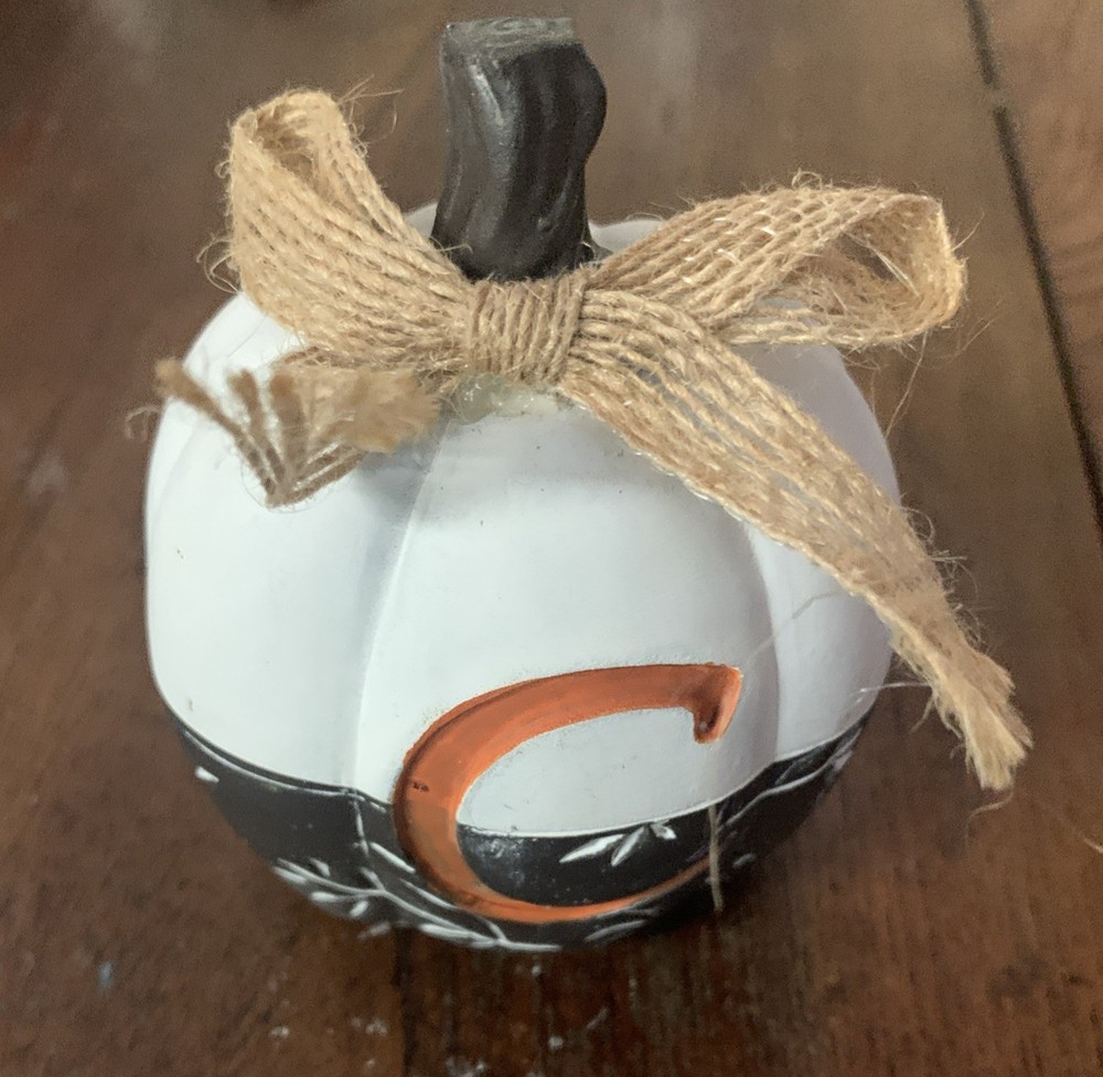 Auntumn Pumpkin With C