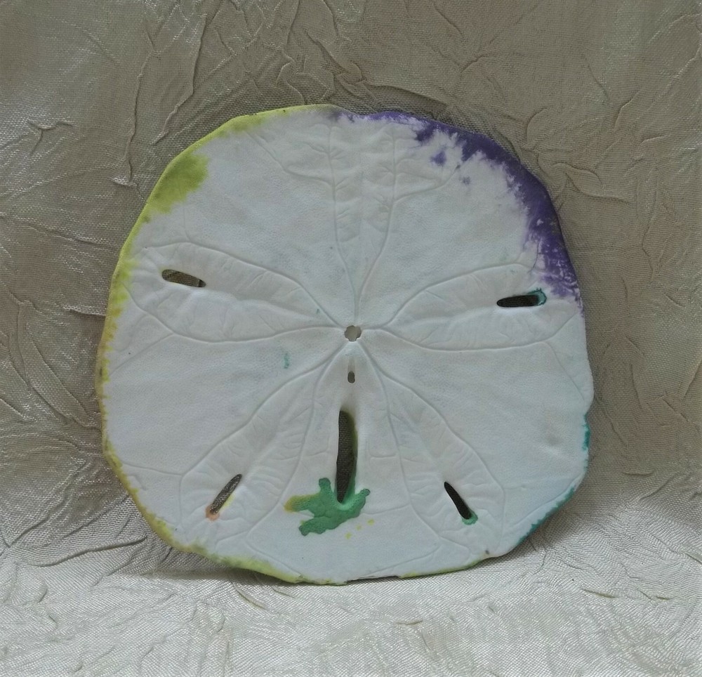 Sand Dollars Two Hand Painted