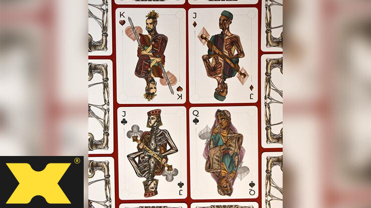 Anatomica Anatomical Playing Cards by Curio