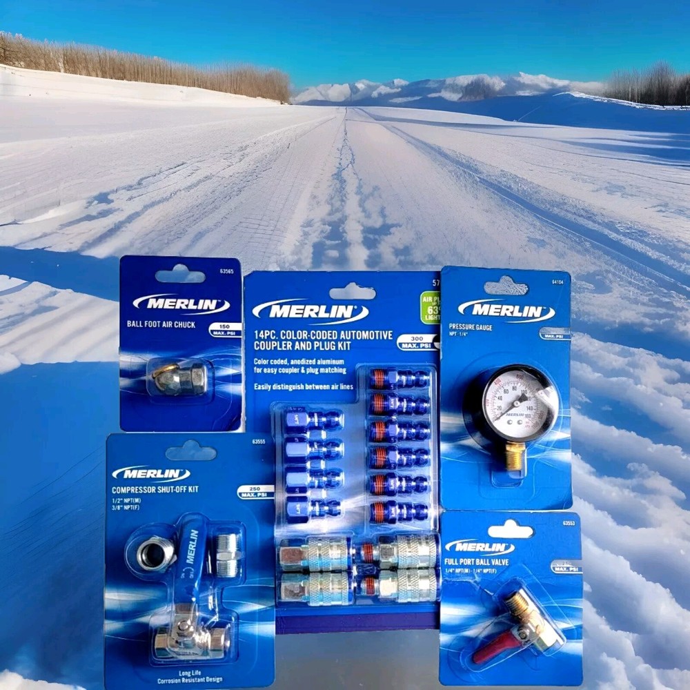 Combo Merlin #5 Valve, gauge,fitting ,coupler