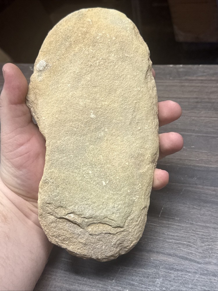 Unique Flounder Type Flat Fish Fossil Specimen