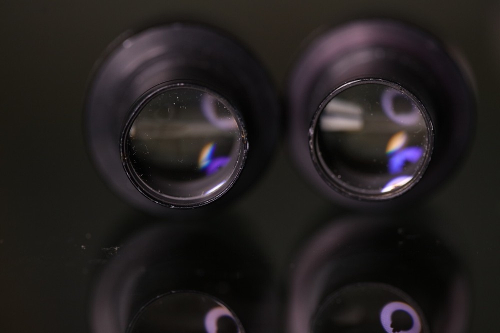 Olympus WK 10X/20L Microscope Eyepiece Pair