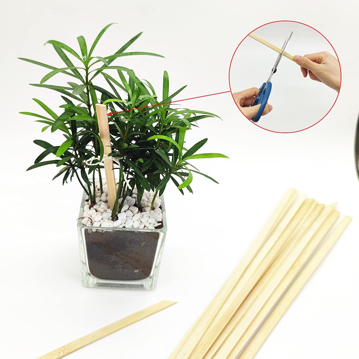 60 Pcs 15.7 Inch Strong Natural Bamboo Sticks, Wood Craft Sticks, Extra Long