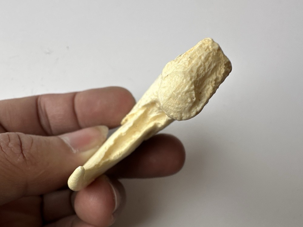 a replica jaguar claw. 