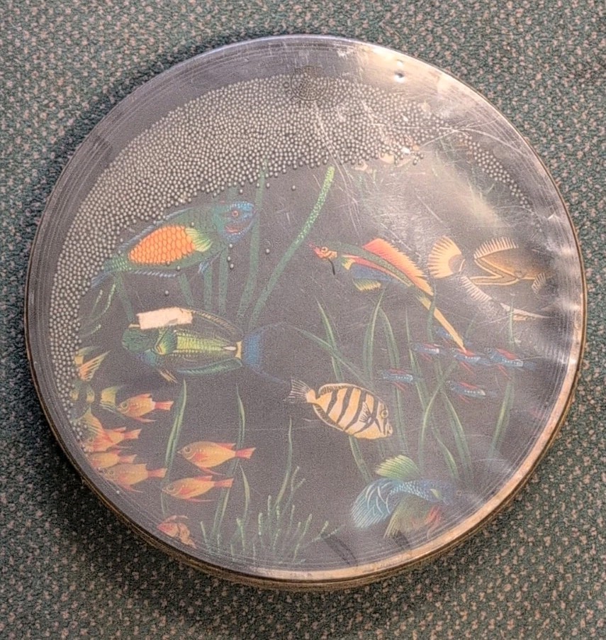 Remo Ocean Drum 16" Fish Graphic
