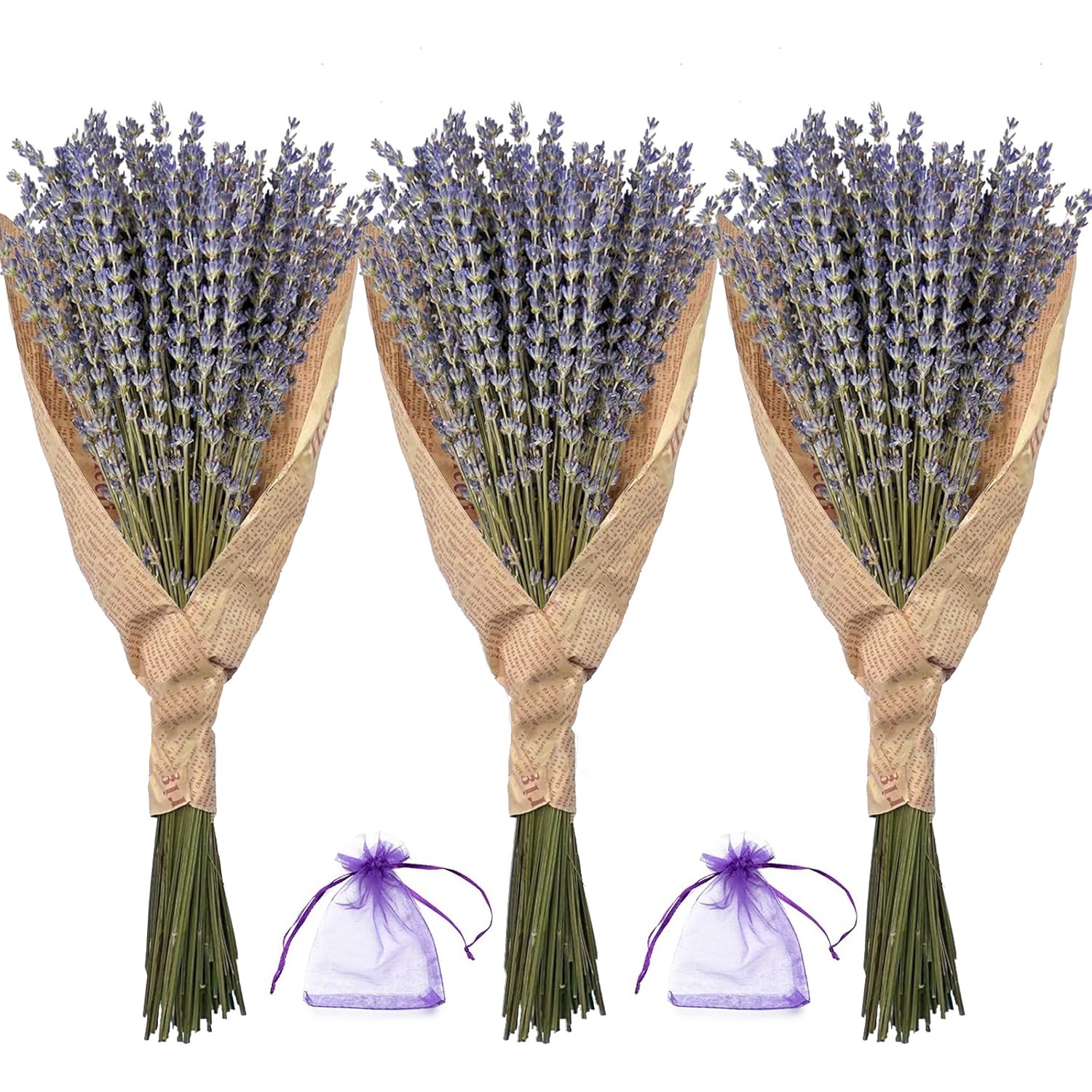 Lavender Bundles - Natural Dried Flowers for Home Decor, 150g (3 Bunches)