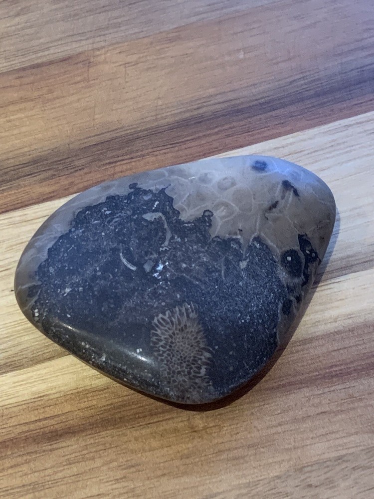 Petoskey Stone Polished