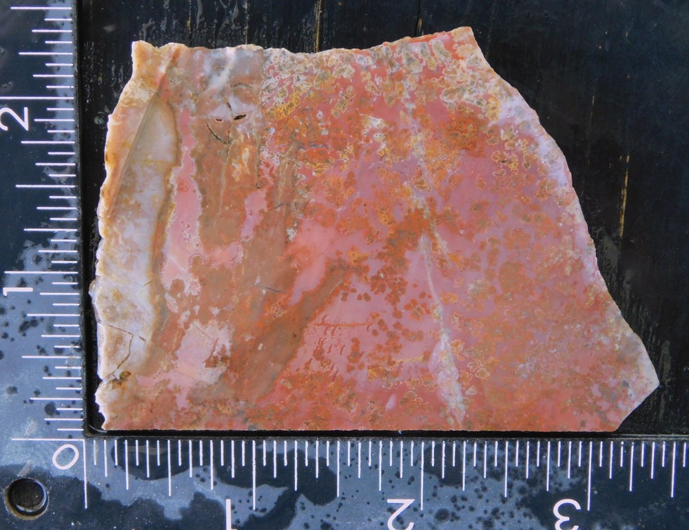 unknown Plume Agate lapidary cabbing slab 4mm thick
