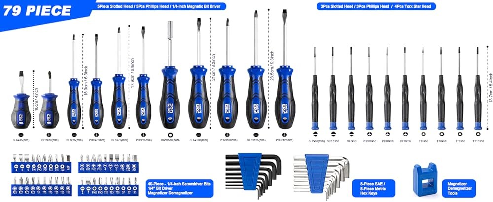 Proer Magnetic Screwdriver Set, Multi-pose Slotted/