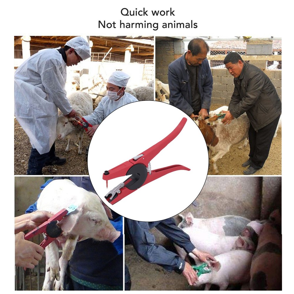 Universal Livestock Ear Tag Applicator Efficient Tagging Tool For Cattle Premium
