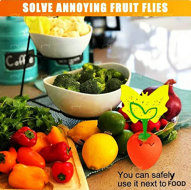 2-Pack Reusable Fruit Fly Traps + 16 Sticky Pads: For Kitchen & Plants