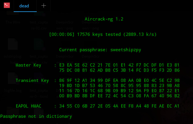 Kali Linux 2026.1 16GB Bootable USB Live Hacking Security OS Install (64 bit)