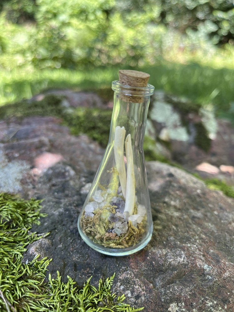 Bone Bottles