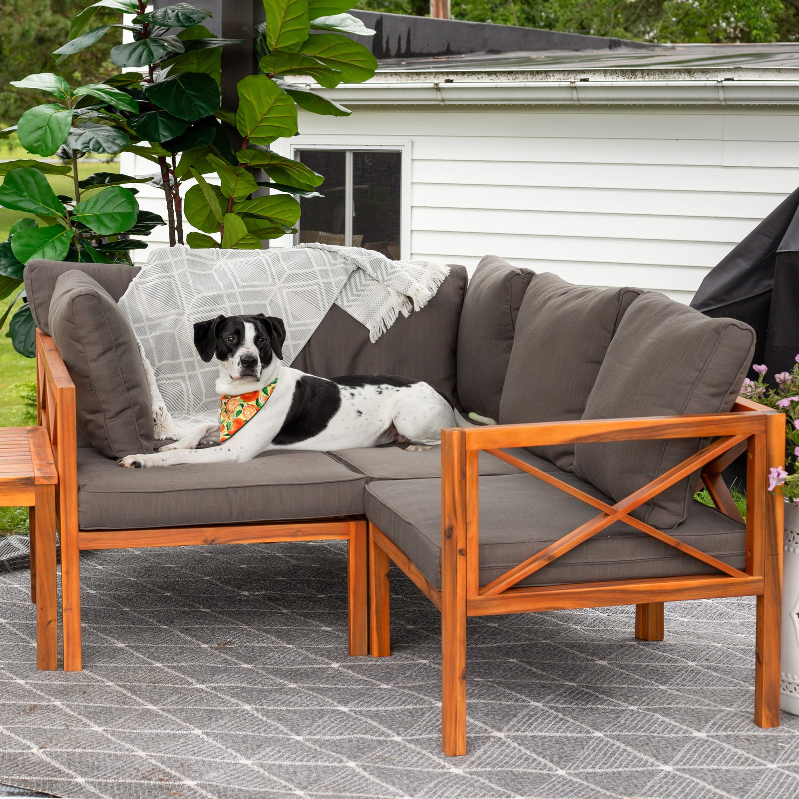 Edisto 4 Piece Acacia Outdoor Conversation Set - Gray by Sunnydaze