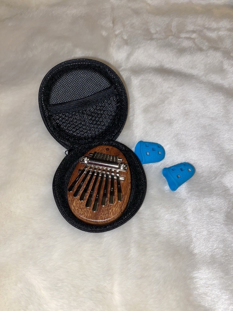 Thumb Piano and Case